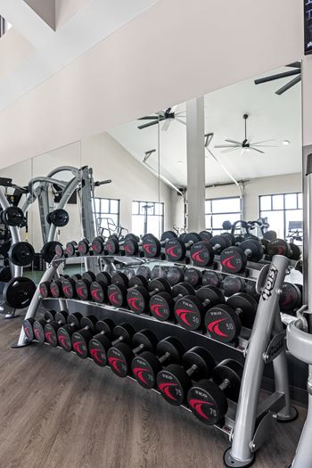 A gym with a rack of dumbbells.